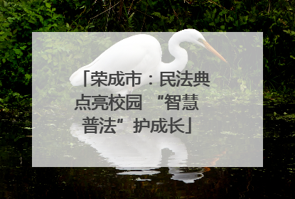 荣成市：民法典点亮校园 “智慧普法”护成长