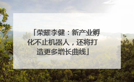 荣耀李健：新产业孵化不止机器人，还将打造更多增长曲线