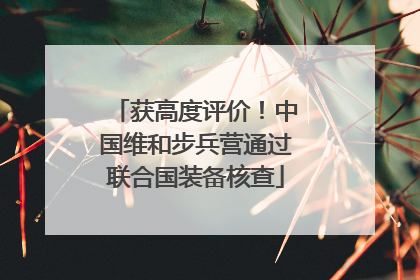 获高度评价！中国维和步兵营通过联合国装备核查