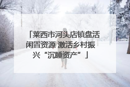 莱西市河头店镇盘活闲置资源 激活乡村振兴“沉睡资产”