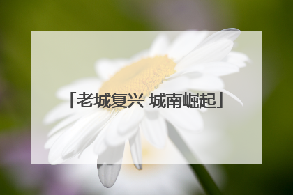 老城复兴 城南崛起