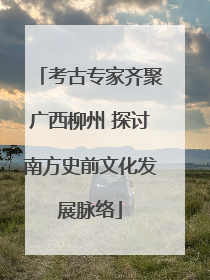 考古专家齐聚广西柳州 探讨南方史前文化发展脉络
