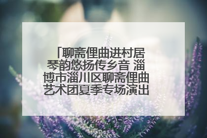 聊斋俚曲进村居 琴韵悠扬传乡音 淄博市淄川区聊斋俚曲艺术团夏季专场演出在杏园子村举行