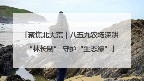 聚焦北大荒｜八五九农场深耕“林长制” 守护“生态绿”