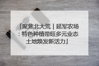 聚焦北大荒｜延军农场：特色种植带旺多元业态 土地焕发新活力