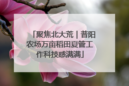 聚焦北大荒｜普阳农场万亩稻田夏管工作科技感满满