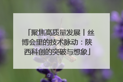 聚焦高质量发展丨丝博会里的技术脉动：陕西科创的突破与想象