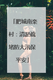 肥城南栾村：清淤疏堵防大汛保平安