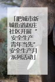 肥城市新城街道赵庄社区开展“安全生产 青年当先”安全生产月系列活动