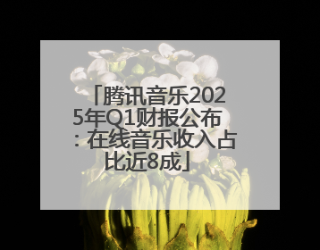 腾讯音乐2025年Q1财报公布：在线音乐收入占比近8成