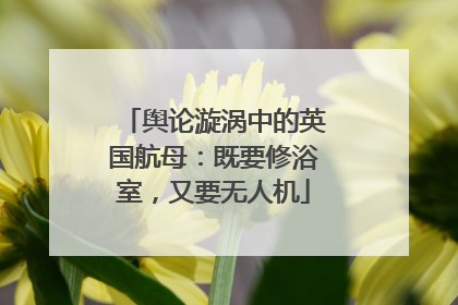 舆论漩涡中的英国航母：既要修浴室，又要无人机