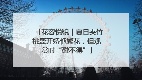 花容悦貌｜夏日夹竹桃盛开娇艳繁花，但观赏时“碰不得”