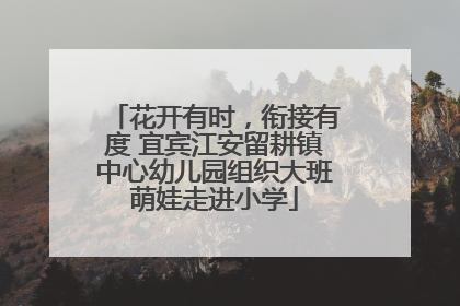 花开有时，衔接有度 宜宾江安留耕镇中心幼儿园组织大班萌娃走进小学