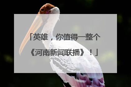 英雄，你值得一整个《河南新闻联播》！