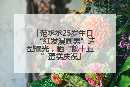 范丞丞25岁生日，“红发漫画男”造型曝光，晒“鹅十五”蛋糕庆祝