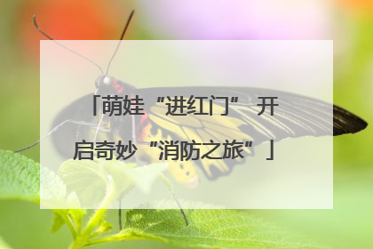 萌娃“进红门” 开启奇妙“消防之旅”
