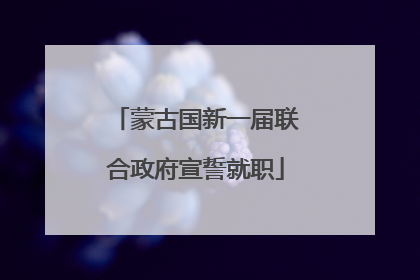 蒙古国新一届联合政府宣誓就职