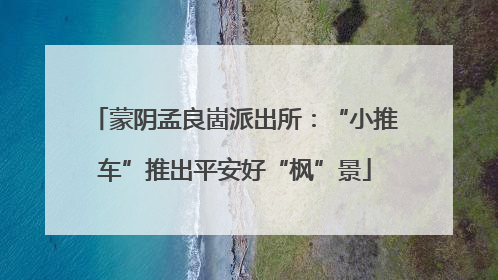 蒙阴孟良崮派出所：“小推车”推出平安好“枫”景
