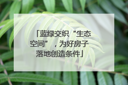 蓝绿交织“生态空间”，为好房子落地创造条件