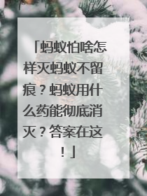 蚂蚁怕啥怎样灭蚂蚁不留痕？蚂蚁用什么药能彻底消灭？答案在这！