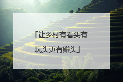 让乡村有看头有玩头更有赚头