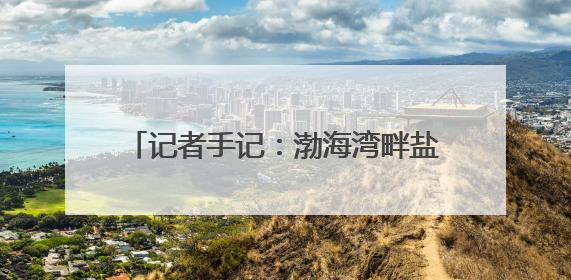 记者手记：渤海湾畔盐碱滩变身“新粮仓”