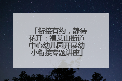 衔接有约，静待花开：福莱山街道中心幼儿园开展幼小衔接专题讲座