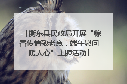 衡东县民政局开展“粽香传情敬老意，端午慰问暖人心”主题活动