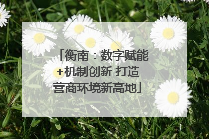 衡南：数字赋能+机制创新 打造营商环境新高地