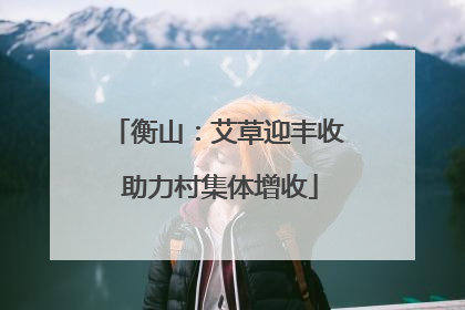 衡山：艾草迎丰收 助力村集体增收