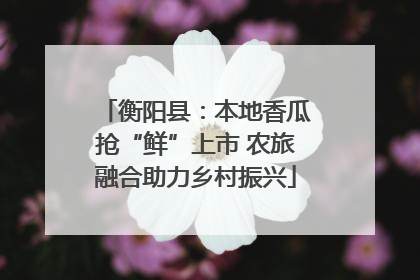 衡阳县：本地香瓜抢“鲜”上市 农旅融合助力乡村振兴