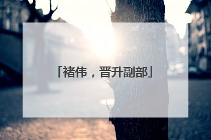 褚伟，晋升副部