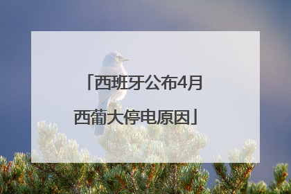 西班牙公布4月西葡大停电原因
