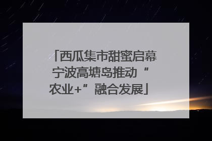 西瓜集市甜蜜启幕 宁波高塘岛推动“农业+”融合发展