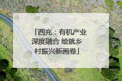 西充：有机产业深度融合 绘就乡村振兴新画卷