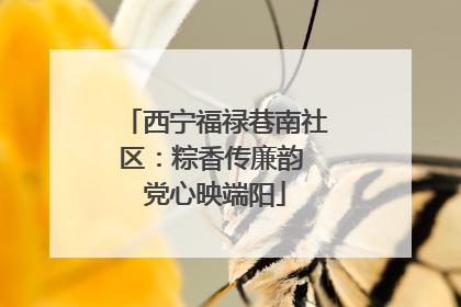 西宁福禄巷南社区：粽香传廉韵 党心映端阳