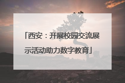 西安：开展校园交流展示活动助力数字教育