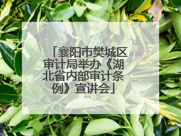 襄阳市樊城区审计局举办《湖北省内部审计条例》宣讲会