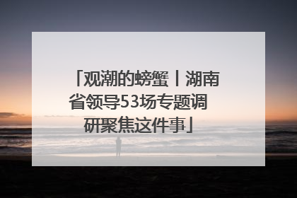 观潮的螃蟹丨湖南省领导53场专题调研聚焦这件事