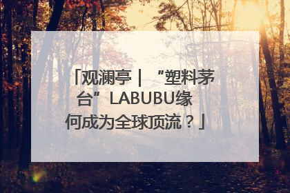 观澜亭｜“塑料茅台”LABUBU缘何成为全球顶流？