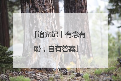 追光记丨有念有盼，自有答案