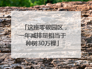 这座零碳园区，一年减排量相当于种树30万棵