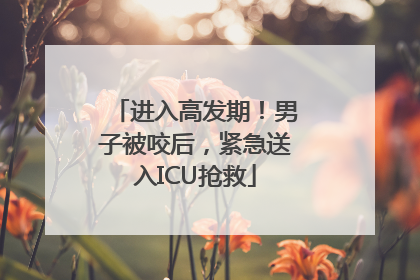 进入高发期！男子被咬后，紧急送入ICU抢救