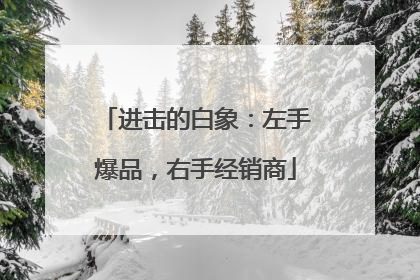 进击的白象：左手爆品，右手经销商