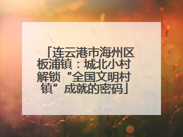 连云港市海州区板浦镇：城北小村解锁“全国文明村镇”成就的密码