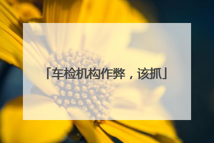 车检机构作弊，该抓