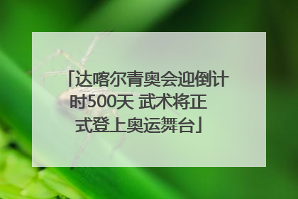 达喀尔青奥会迎倒计时500天 武术将正式登上奥运舞台