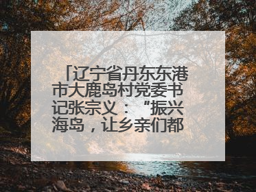 辽宁省丹东东港市大鹿岛村党委书记张宗义：“振兴海岛，让乡亲们都过上好日子”