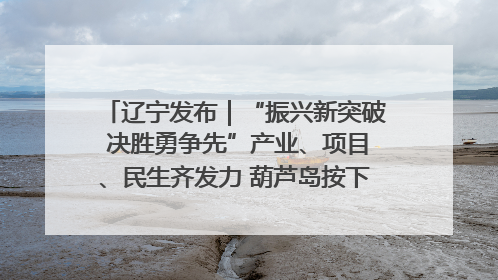 辽宁发布｜“振兴新突破 决胜勇争先”产业、项目、民生齐发力 葫芦岛按下决胜之年“加速键”