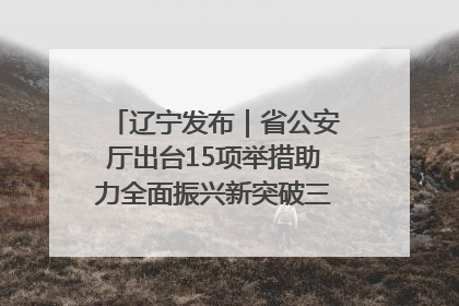 辽宁发布｜省公安厅出台15项举措助力全面振兴新突破三年行动决胜之战